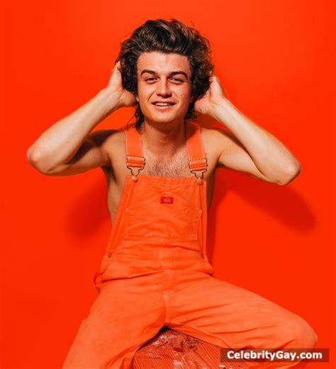 joe keery fake nudes|Joe Keery